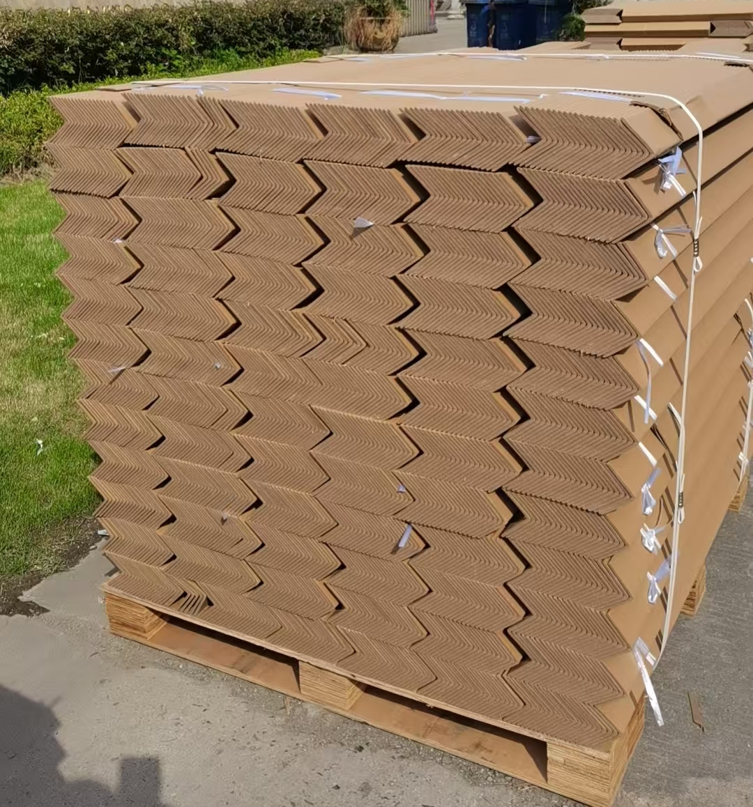 03ded72d-f2ff-4d5b-8b59-1ea39455678b