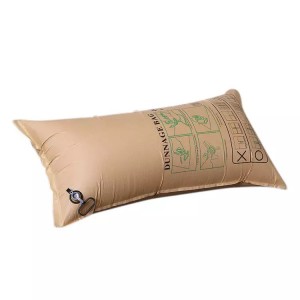 air dunnage bag11