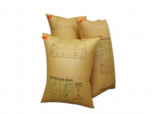 air dunnage bag